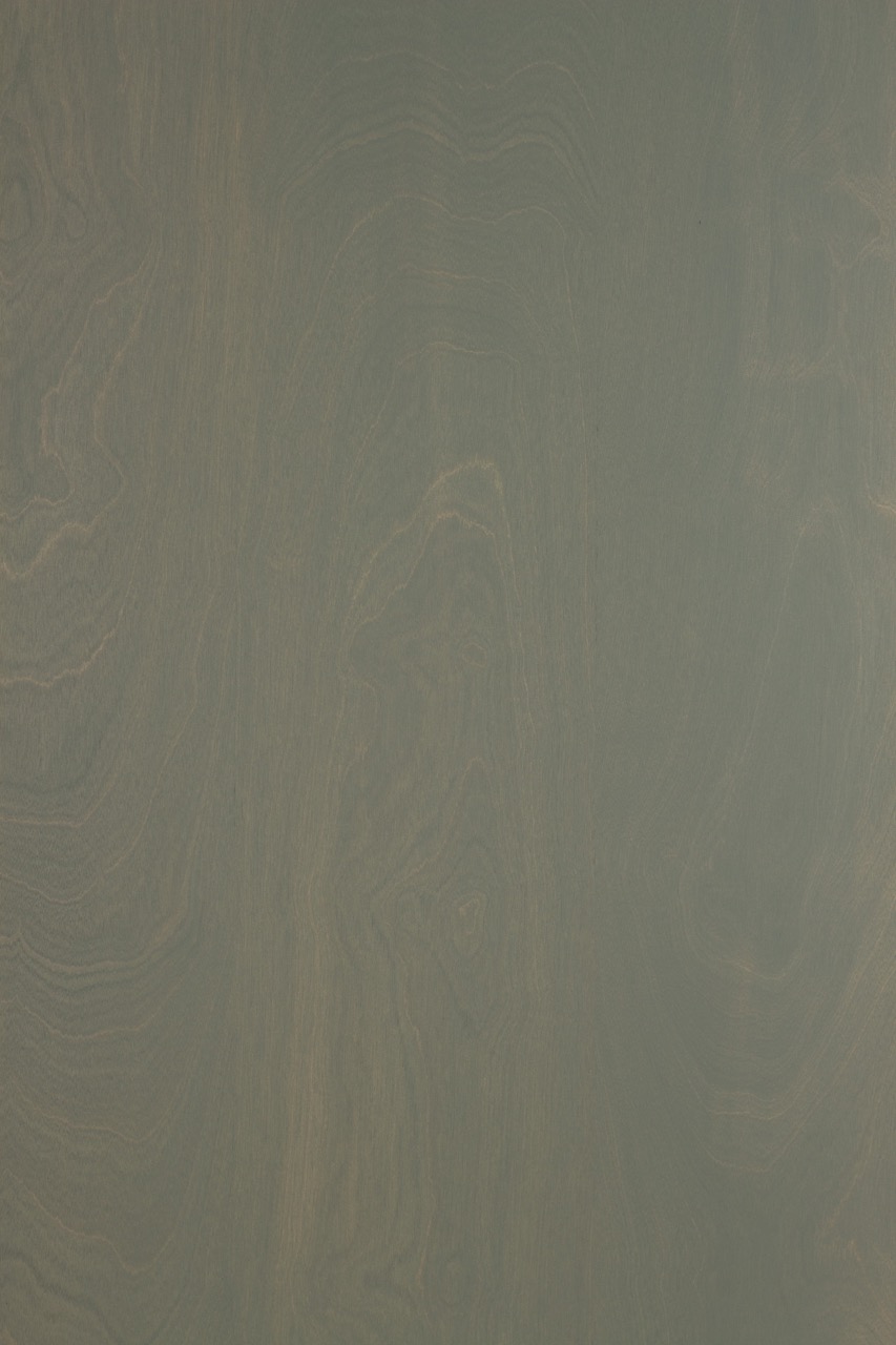 Image de Bouleau vert