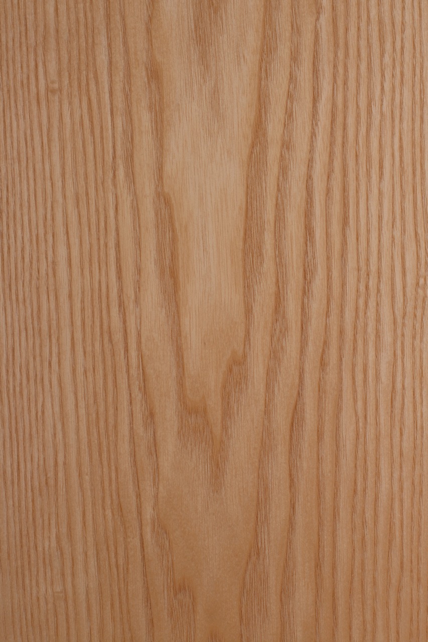 Image de Frêne veine plate