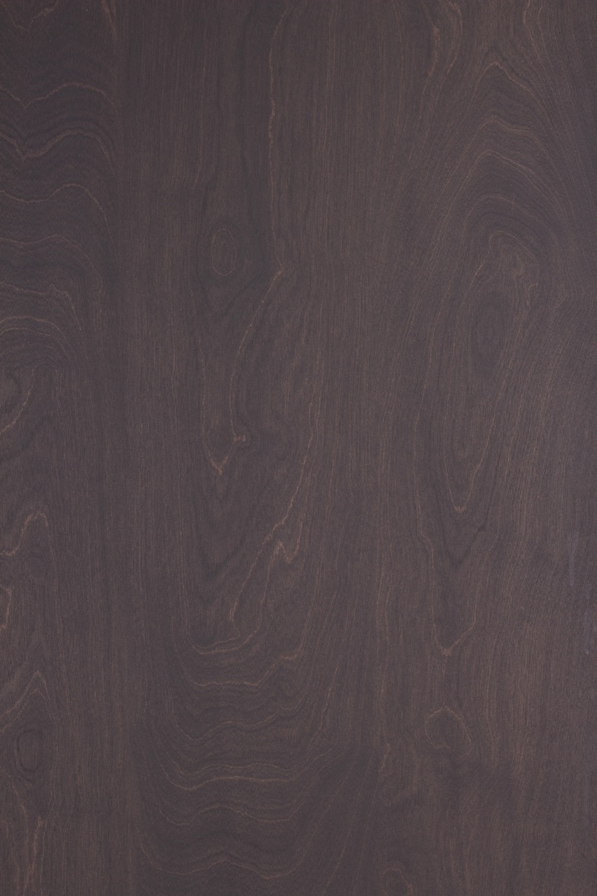 Image de Bouleau anthracite