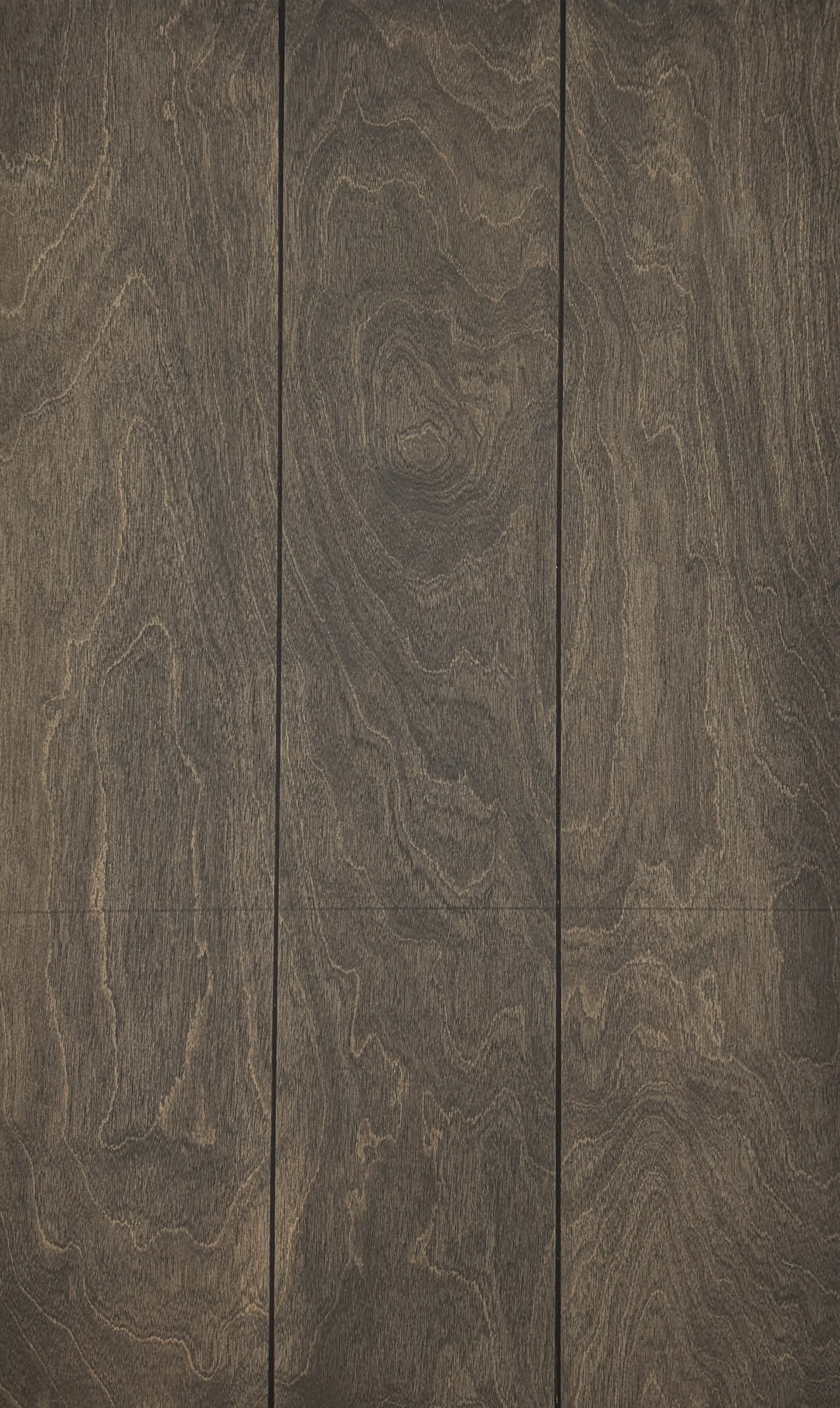 Image de Bouleau anthracite