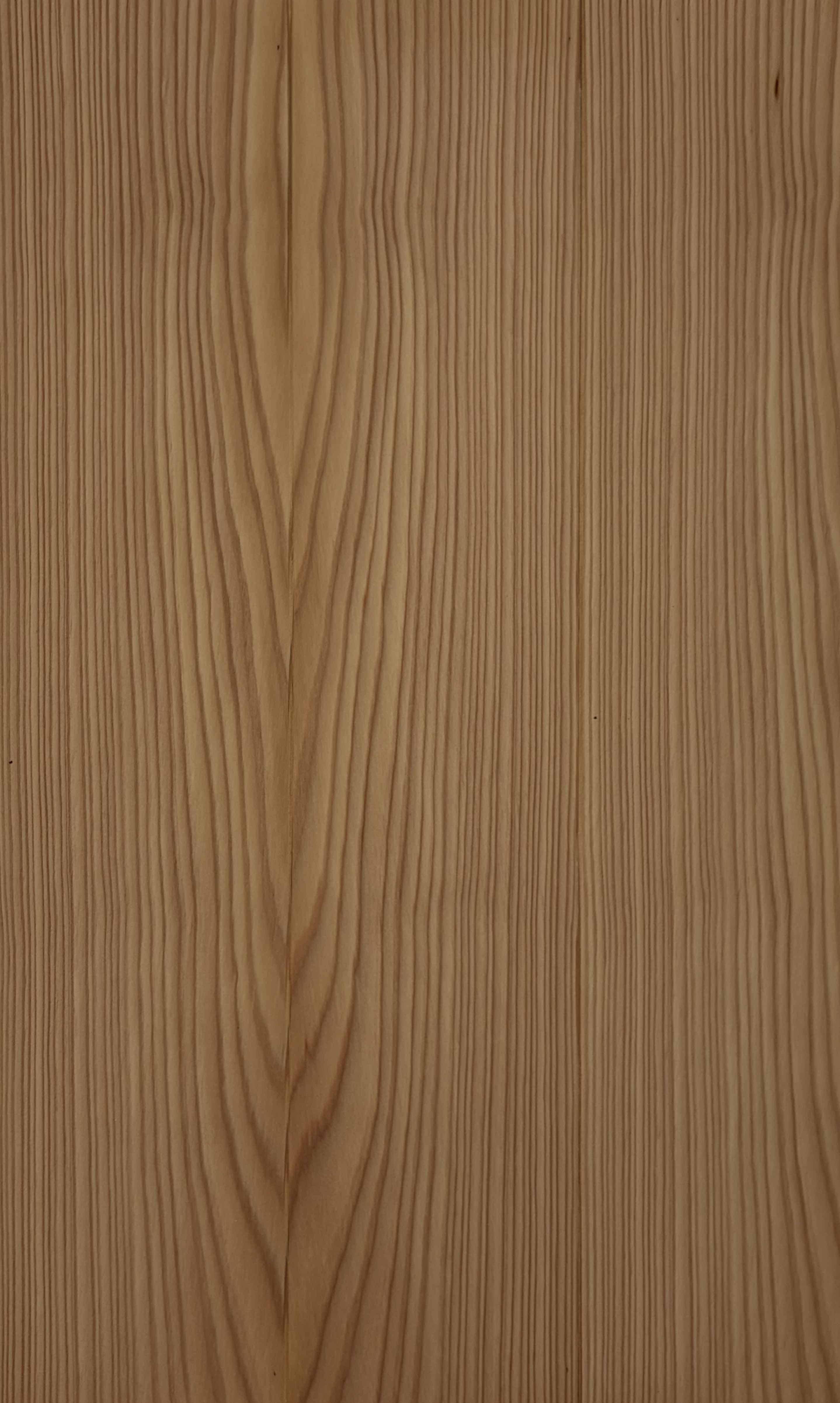 Image de Mélèze naturel
