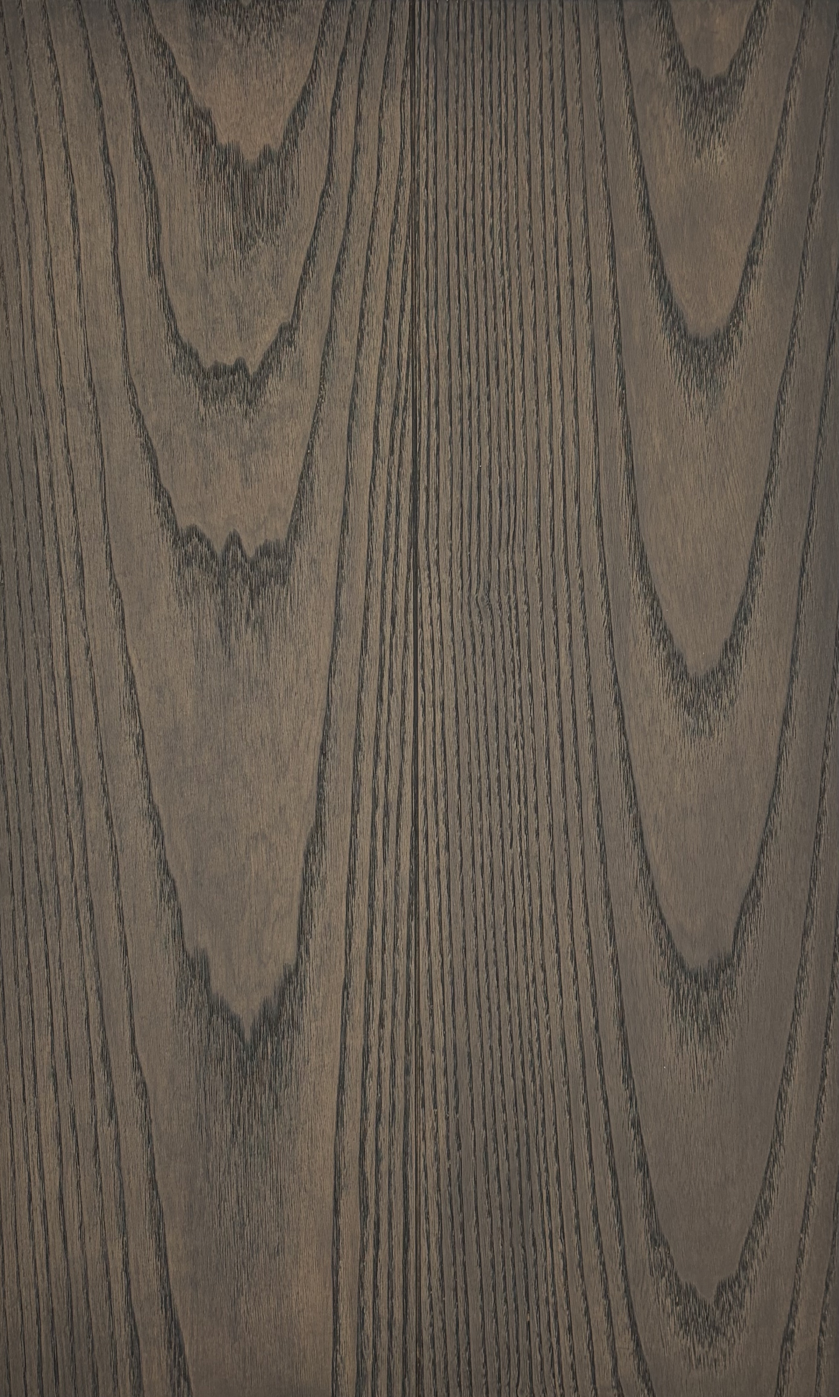 Image de Frêne anthracite