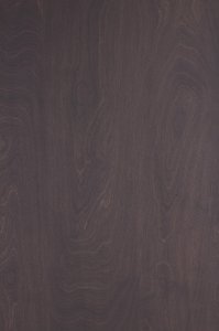 Bouleau anthracite