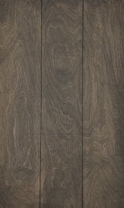 Bouleau anthracite